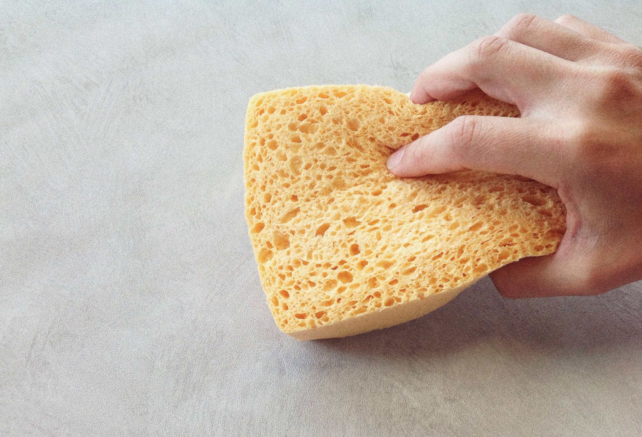 tapetredskap malarsvamp