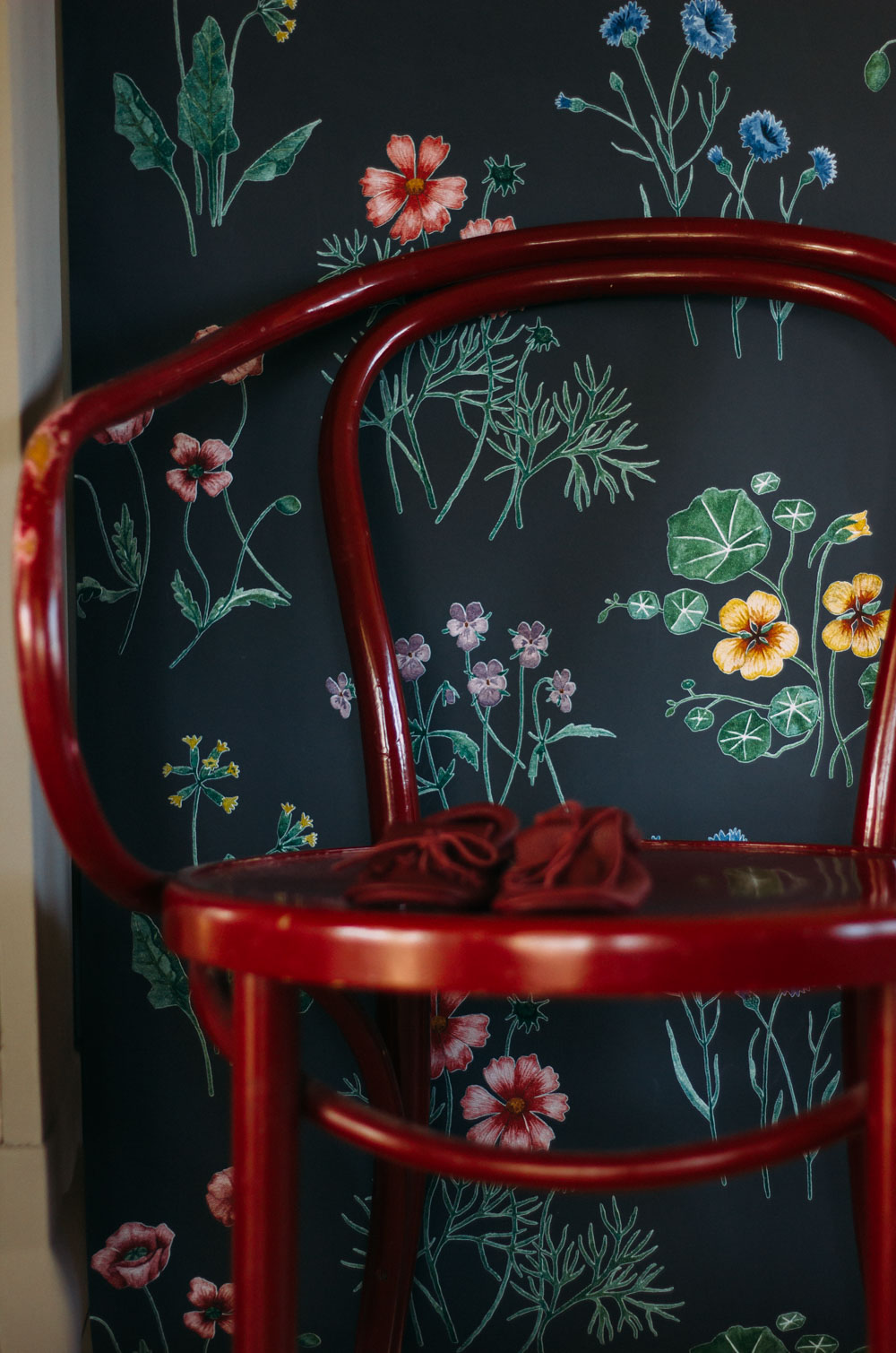 m&ouml;rk tapet med sommarblommor i olika f&auml;rger