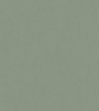 Gr&ouml;n tapet med Enf&auml;rgat, Kalk,  m&ouml;nster