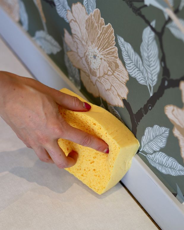 funktig cellulosasvamp vid list