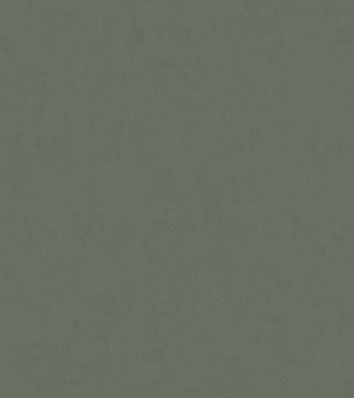 Gr&ouml;n tapet med Enf&auml;rgat, Kalk,  m&ouml;nster