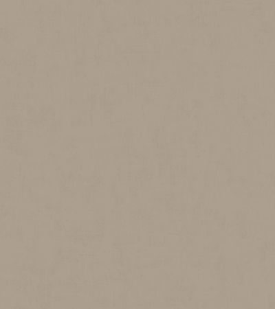 Gr&ouml;n, Beige tapet med Enf&auml;rgat, Kalk,  m&ouml;nster